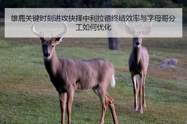 雄鹿关键时刻进攻抉择中利拉德终结效率与字母哥分工如何优化