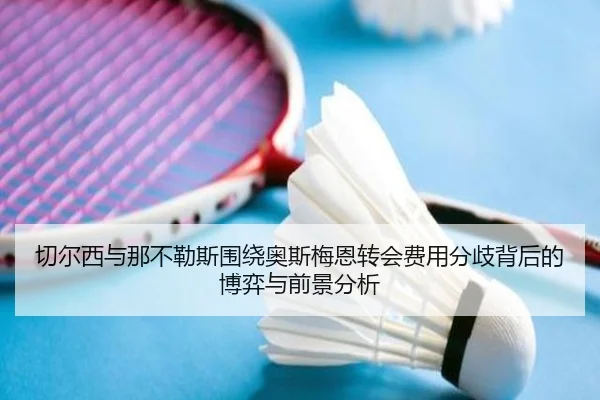 切尔西与那不勒斯围绕奥斯梅恩转会费用分歧背后的博弈与前景分析